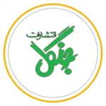 29.webp